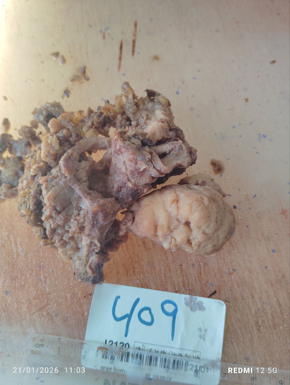 صورة التقرير