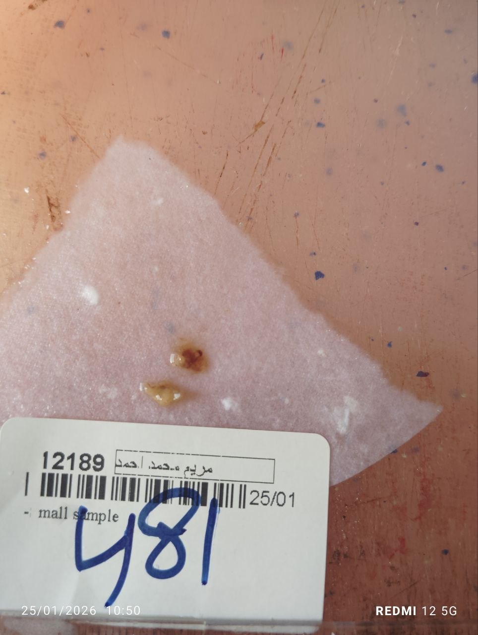 صورة التقرير