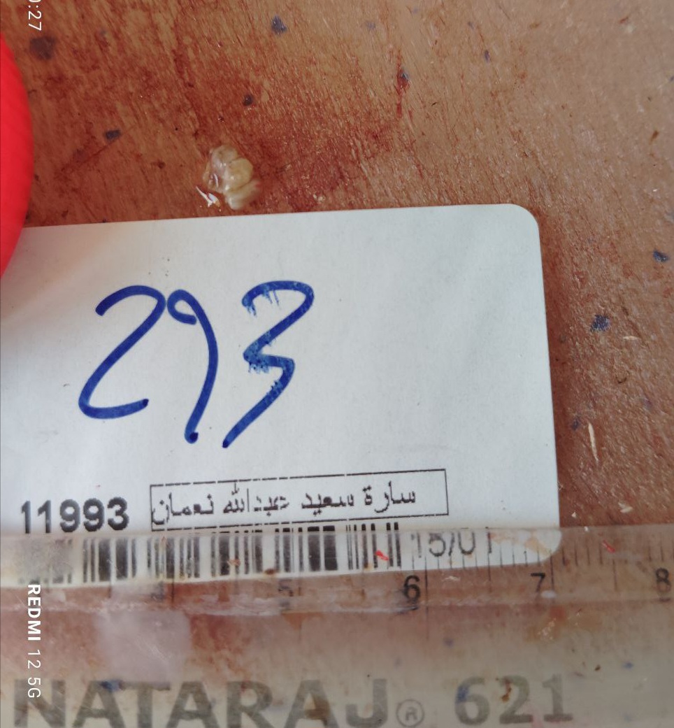 صورة التقرير