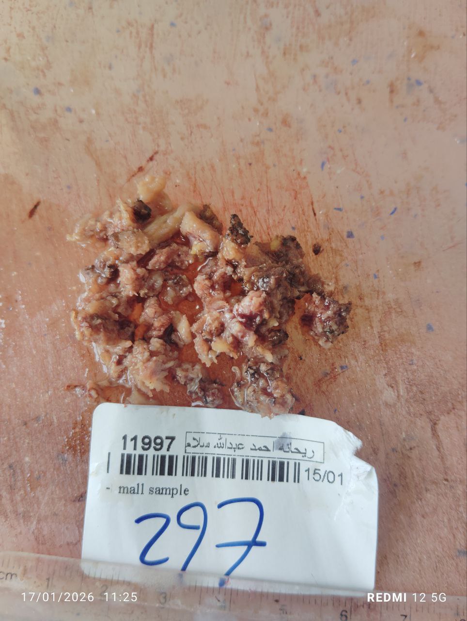 صورة التقرير